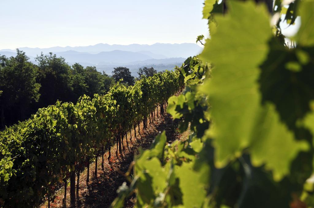 Tenuta Perusini Corno di Rosazzo المظهر الخارجي الصورة