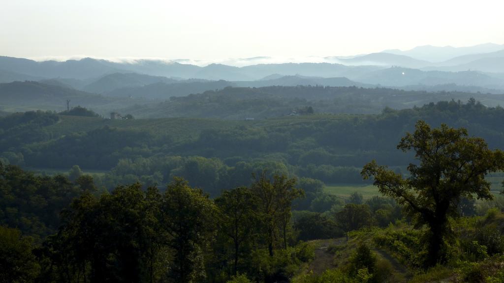 Tenuta Perusini Corno di Rosazzo المظهر الخارجي الصورة